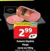 Salami śląskie Haga promocja w Delfin