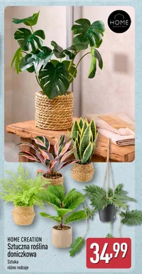 Sztuczna roślina doniczkowa Home Creation promocja w Aldi