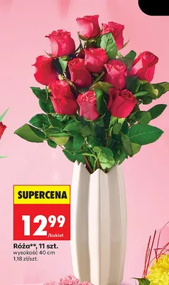 Róża bukiet 11 szt. promocja w Biedronka