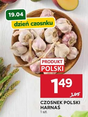 Czosnek polski harnaś promocja w Stokrotka