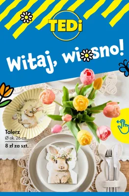 Talerz promocja w Tedi