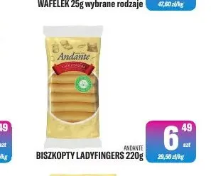 Biszkopty Ladyfingers Andante promocja w Tomi Markt