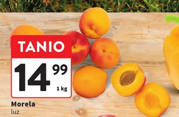 Morela luz promocja w Intermarche