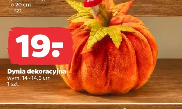 Dynia dekoracyjna 14x14,5 cm promocja w Netto