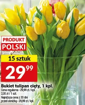 Bukiet tulipan cięty, 1 kpl. promocja w Twój Market