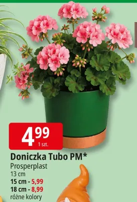 Doniczka Tubo PM 13cm promocja w Leclerc