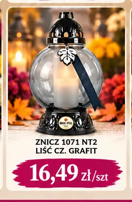 Znicz 1071 NT2 liść cz. grafit Max-Pol promocja w emma MARKET
