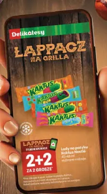 Lody na patyku Kaktus Nestlé promocja w Delikatesy Centrum