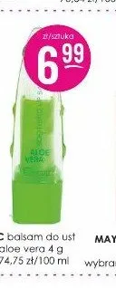 Balsam do ust IDC Aloe Vera promocja w Drogerie Jasmin