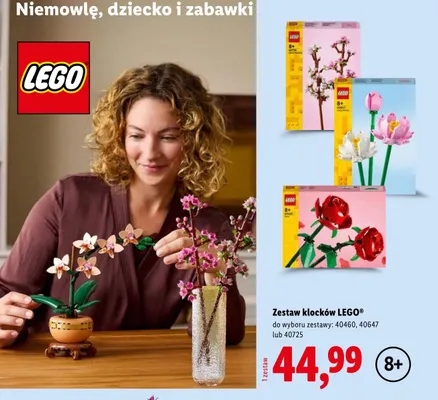 Zestaw klocków LEGO 40460 promocja w Lidl