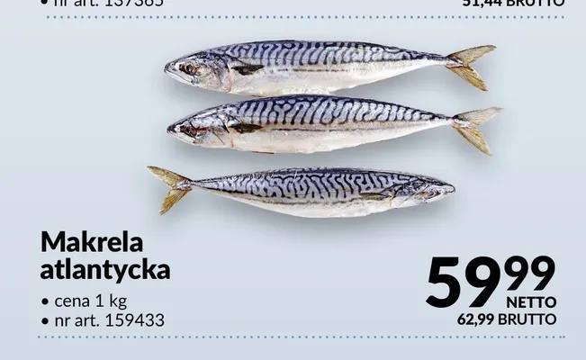 Makrela atlantycka promocja w Makro