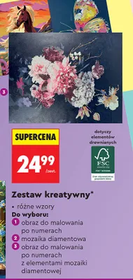 Zestaw kreatywny - obraz do malowania po numerach z elementami mozaiki diamentowej promocja w Biedronka