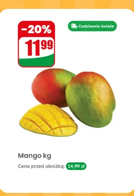 Mango luz promocja w Dino