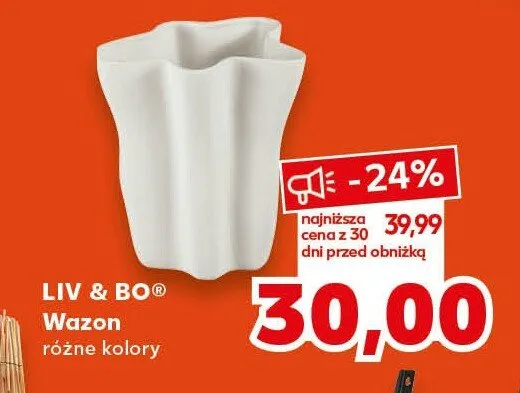 Wazon różne kolory promocja w Kaufland