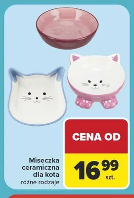 Miseczka ceramiczna dla kota promocja w Carrefour