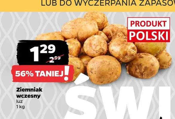 Ziemniak wczesny luz promocja w Netto