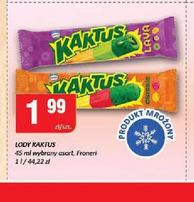Lody Kaktus Froneri promocja w Chorten