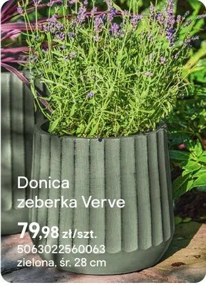 Donica żeberka Verve promocja w Castorama