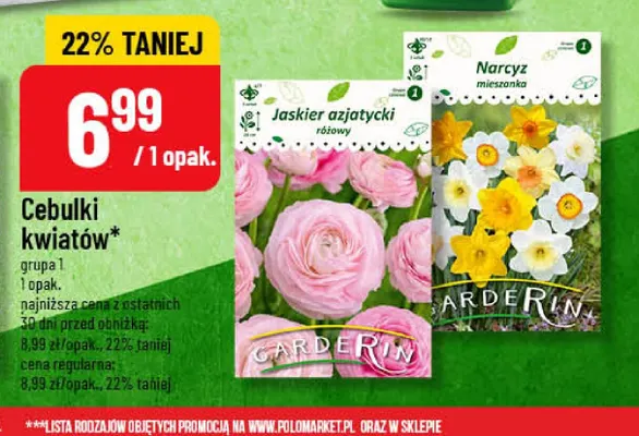Cebulki kwiatów Garderin Jaskier azjatycki różowy promocja w POLOmarket