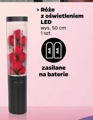 Róże z oświetleniem LED promocja w Netto
