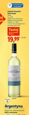 Wino  Pinot Grigio promocja w Lidl
