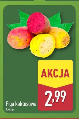 Figa kaktusowa promocja w Aldi