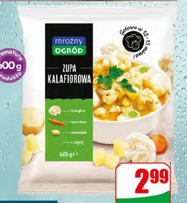 Zupa kalafiorowa Mroźny Ogród promocja w Dino