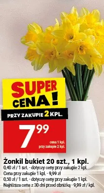 Żonkil bukiet 20 szt. promocja w Twój Market