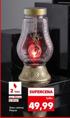 Znicz solarny Pnącze promocja w Kaufland
