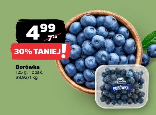 Borówka promocja w Netto