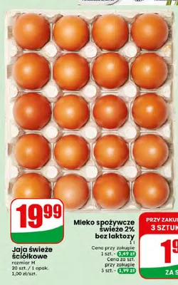 Jaja świeże ściółkowe promocja w Dino