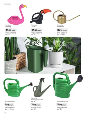 Konewka Flaming promocja w Castorama