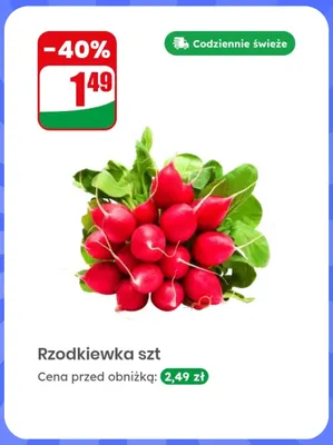 Rzodkiewka promocja w Dino