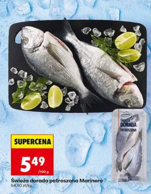 Świeża dorada patroszona Marinero promocja w Biedronka
