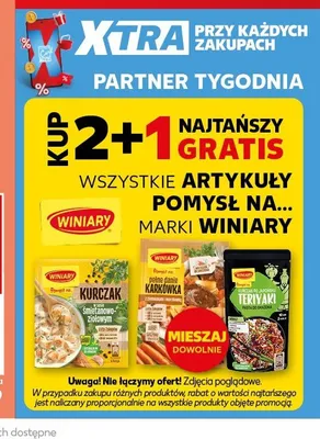 Pomysł na Kurczak po japońsku Teriyaki Winiary promocja w Kaufland
