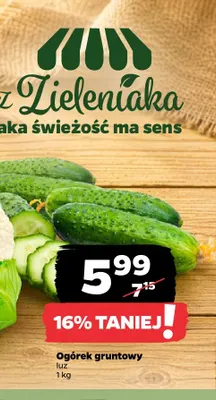 Ogórki gruntowe promocja w Netto
