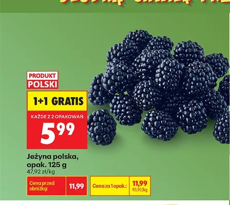 Jeżyna polska promocja w Biedronka