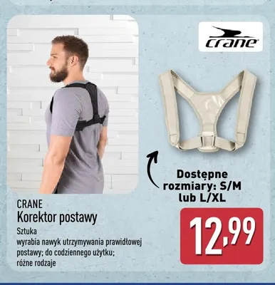 Korektor postawy Crane promocja w Aldi
