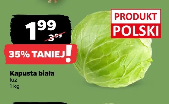 Kapusta biała promocja w Netto