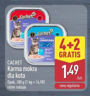 Karma mokra dla kota Cachet promocja w Aldi