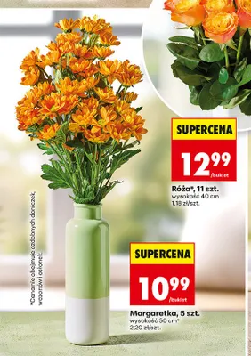 Margaretka 5-pak promocja w Biedronka