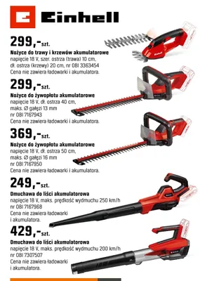 Nożyce do trawy i krzewów akumulatorowe promocja w OBI