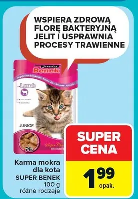 Karma mokra dla kota różne rodzaje promocja w Carrefour Market