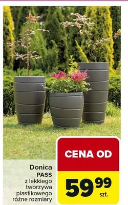 Donica Pass z lekkiego tworzywa plastikowego różne rozmiary promocja w Carrefour