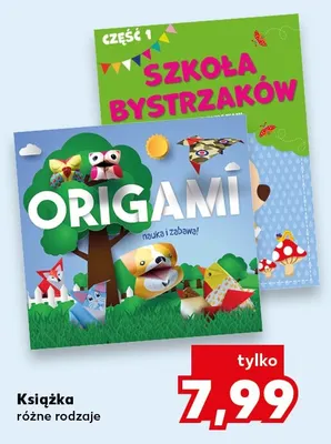 Książka promocja w Kaufland