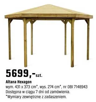 Altana Hexagon promocja w OBI