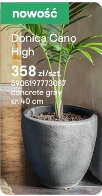 Donica Cano High promocja w Castorama