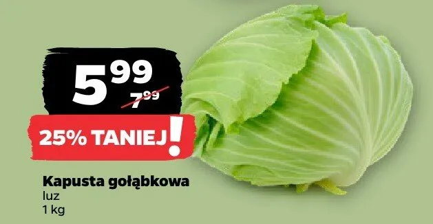 Kapusta gołąbkowa luz promocja w Netto