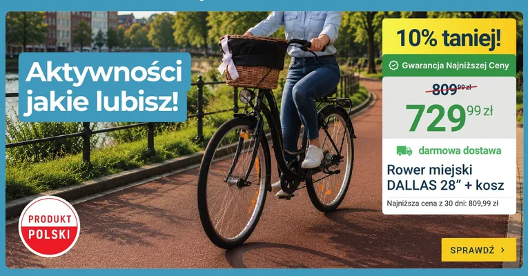 Rower miejski Dallas 28" + kosz promocja w ERLI