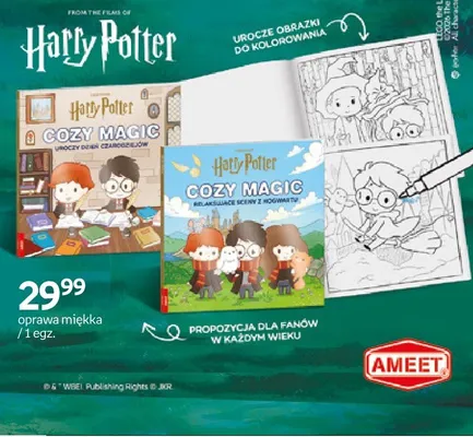 Książka Harry Potter Cozy Magic Uroczy dzień czarodziejów promocja w Empik